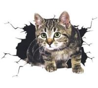 Cat Decals for Cars, Car Sticker 3D Simulation Cute Cat Scratches to Cover The Body Sticker, Bumper Stickers, Decals and Magnets, Automotive Decals