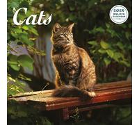 Cat Deluxe 2024 Calendar