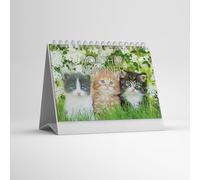 Cat Desk Calendar | A5 size monthly planner | 12 Month + Important Dates & Notes | Rolling Month Start | Practical and Stylish for any Cat Lover.