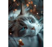 Cat Diamond Art Kits Adults, 5D Diamond Painting Animal Pattern Design, DIY Full Square Drill Dimond Painting, Crystal Art Kits for Adults Beginner for Home Wall Decor, Gifts 40x55cm -yxy2506Y1