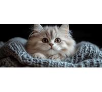 Cat Diamond Pinting Animal Diamond Art Kits Adults, Crystal Gem Art 5D DIY Round Full Drill Crystal Rhinestone Embroidery Cross Stitch Hobbies for Adults Women, Home Decor, Gifts 100x300cm -hjw2604B4