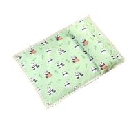 CAT Dog Mat Mat For Dogs And Cats | Double Four Corners Rope For Sofa Bed Indoor Cage Outdoor Kennel Jcy712 (Mint Green, 60x40cm)