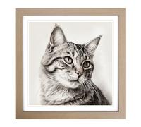 Cat Drawing No.1 Framed Print | 18x18 Inch Oak Framed Wall Art | Ready to Hang | Modern Animal Picture | Living Room Bedroom Lounge Office