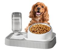 Cat Drinking and Feeding Bowl - 2-in-1 Automatic Feeder for Pets - Double Bowl Set, for Kittens and Puppies in the Living Area Indoor Outdoor with