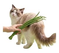 Cat Exercise Toys,Realistic Funny Indoor Pet Supplies,Stimulating Cat Teaser Toy - for Small Medium Kitten Enrichment Mental Stimulation Moving Boredom Play