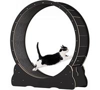 Cat Exercise Wheel - Anti-Pinch Brake, Super Load Bearing, Quiet Spin Treadmill for Indoor Cats to Reduce Boredom