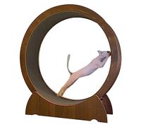 Cat Exercise Wheel, Cat Treadmill, Cat Hamster Wheel For Pet Cat Weight Loss, Indoor Cat/Kitten/Kitty Toys, Easy Assembly(100cm/39.4")