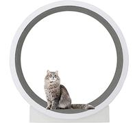 cat exercise wheel, Cat Wheel Exerciser for Indoor Cats, Large Exercise, Running with Carpet Runway
