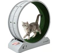Cat Exercise Wheel,Cat Wheel Indoor,Running Wheel with Carpeted Runway