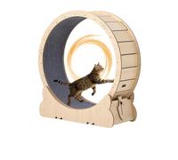 Cat Exercise Wheel for Indoor Cats, Large Cat Treadmill with Detachable Carpeted Runway, Quiet Sturdy Pet Activity Center M