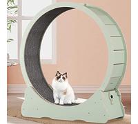 Cat Exercise Wheel Indoor Treadmill Small Animals Running Track Fitness Weight Loss Device Pet Toy