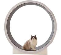 Cat Exercise Wheel, Interactive Cat Treadmill for Indoor Cats, Large Diameter Cat Runner Wheel, Fun Climbing Frame for Pets and Kittens