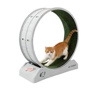 Cat Exercise Wheel Large Cat Wheel Cats Treadmill with Safety Lock and Carpeted Runway Cats Running Wheels for Pet Kitty Weight Loss and Health 31.5 * 12.99 * 33.46in