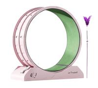 Cat Exercise Wheel - Silent Training Equipment Kitten Cat Running Tools Silent Movement Anti-Falling Treadmill Running Fitness Training Wheels with Teaser for Indoor Kittens