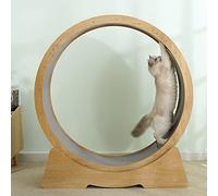 Cat Exercise Wheel Small Medium Large - Small Gap Quiet Cat Treadmill Wheel/Cat Running Wheel/Cat Scratching Board, Indoor Cat Toy,M