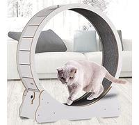 Cat Exercise Wheel Treadmill - Fitness Device for Small Animals, Indoor Running Wheel for Pets, Ideal for Weight Loss and Physical Activity