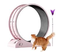 Cat Exercise Wheel - Weight Loss Treadmill for Kitten | Large Cat Wheel Exerciser for Indoors, Safety Kitten Treadmill