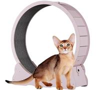 Cat Exercise Wheel - Wooden Running Wheel with Brake, Interactive Indoor Fitness Toy, Carpeted Surface for Comfort