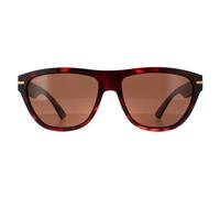 Serengeti Sunglasses Pancho SS601002 Matte Red Tortoise Mineral Drivers Polarized