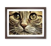 Cat Eyes Modern Framed Print | A4 Walnut Framed Wall Art | Ready to Hang | Modern Animal Picture | Living Room Bedroom Lounge Office