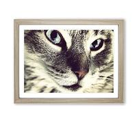 Cat Eyes No.11 Modern Framed Print | A3 Oak Framed Wall Art | Ready to Hang | Modern Animal Picture | Living Room Bedroom Lounge Office
