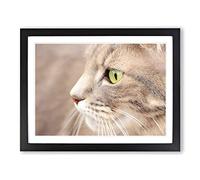 Cat Eyes No.6 Modern Framed Print | A4 Black Framed Wall Art | Ready to Hang | Modern Animal Picture | Living Room Bedroom Lounge Office