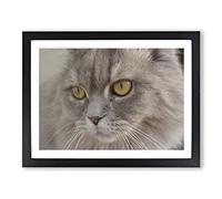 Cat Eyes No.8 Modern Framed Wall Art Print, Ready to Hang Picture for Living Room Bedroom Home Office Décor, Black A3 (46 x 34 cm)