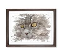 Cat Eyes No.8 V3 Modern Framed Print | A2 Walnut Framed Wall Art | Ready to Hang | Modern Animal Picture | Living Room Bedroom Lounge Office