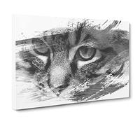 Cat Eyes Vol.13 V1 Canvas Print | Gallery Wrapped 30mm Frame Wall Art | 30x20 inches | Ready to Hang | Modern Animals Picture | Living Room Bedroom Lounge Office