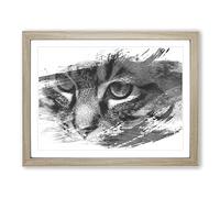 Cat Eyes Vol.13 V1 Modern Framed Wall Art Print, Ready to Hang Picture for Living Room Bedroom Home Office Décor, Oak A2 (64 x 46 cm)