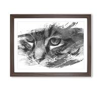 Cat Eyes Vol.13 V1 Modern Framed Wall Art Print, Ready to Hang Picture for Living Room Bedroom Home Office Décor, Walnut A3 (46 x 34 cm)