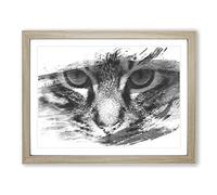 Cat Eyes Vol.4 V1 Modern Framed Print | A2 Oak Framed Wall Art | Ready to Hang | Modern Animal Picture | Living Room Bedroom Lounge Office