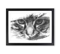 Cat Eyes Vol.4 V1 Modern Framed Wall Art Print, Ready to Hang Picture for Living Room Bedroom Home Office Décor, Black A2 (64 x 46 cm)