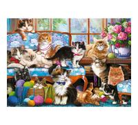 Cat Family