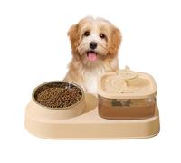 Cat Feeding Station, Cat Food and Water Bowl Set, Spill-proof Dog Water Bowl Dispenser - Dry and Separation Slow Feeding for Multi-Pet Households
