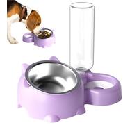 Cat Food And Water Bowl Set - 16° Tilted Cat Food Dish With Automatic Water Dispenser | Detachable Elevated Feeder Bowls For Indoor Small Dogs, Puppies, Kittens, And Pets Feeding Station
