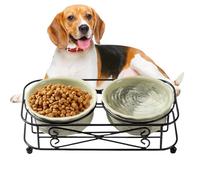 Cat food bowl - resistant material, integrated glazed texture, external moisture protection, advanced solution for studio space optimization | Pet supplies for feeding kl