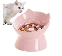 Cat Food Bowls Elevated Ceramic Slow Feeder Water Dish
