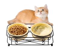 Cat Food Dish - Water Feeding Dispenser Dish with Stand - Ceramic Cat Bowl Set, Pet Supplies for Feeding Small Puppies Kitten