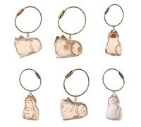 Cat Fur Storage Bottle Keychain My Pet’s Fur Container Transparent Cat Hair Storage Box Pendants Capsule Toys Pet Hair Container Collection Pet Memorial Gifts Accessories (6pcs)