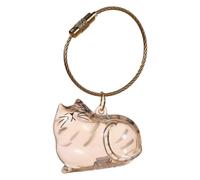 Cat Fur Storage Bottle Keychain My Pet’s Fur Container Transparent Cat Hair Storage Box Pendants Capsule Toys Pet Hair Container Collection Pet Memorial Gifts Accessories (Tabby)