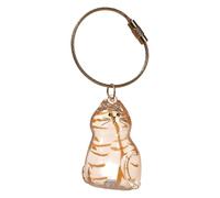Cat Fur Storage Bottle Keychain My Pet’s Fur Container Transparent Cat Hair Storage Box Pendants Capsule Toys Pet Hair Container Collection Pet Memorial Gifts Accessories (orange cat)