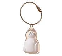 Cat Fur Storage Bottle Keychain My Pet’s Fur Container Transparent Cat Hair Storage Box Pendants Capsule Toys Pet Hair Container Collection Pet Memorial Gifts Accessories (wondering cat)