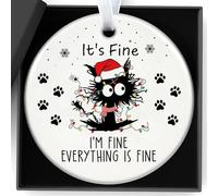 Cat Gifts for Women Christmas Decorations Personalization Ceramic Sign It'S Fine I'M Fine Everything Is Fine Fun cute Cat Ornaments Xmas Tree Decor for Love Pets Gift for Desk, Home Accessories