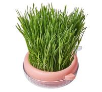 Cat Grass Growing Box | Planter Box for Cat Grass Growing - Soilless Culture Planting Container for Cat Grass, Interactive Toys for Cat Dogs