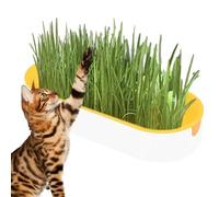 Cat Grass Growing Kit - Hydroponic Cat Grass Set | Plant Growing Set Hydroponic Cat Grass for Digestion, Soil Free Cat Snacks Indoor Nursery Balcony Patio Cat Grass Growing Kit | Plant Growing Set