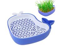 Cat Grass Growing Kit - Organic Seed Tray, Pet Wheatgrass Planter, Indoor Green Station | Whale Shaped Layered Container Structure, Soilless Hydroponic Growth Box Apartment Display Spot
