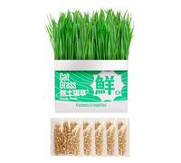 Cat Grass Growing Pot - Cat Grass Hydroponics Potting Box, Awesome Cat Hairball Soil Pot | Hydroponics Container for Balcony, Sill, Living Room, Porch, Backyard, 5.51x2.76x5.12 Inches