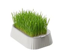 Cat Grass Planter - 19 x 12.5 x 5 cm, Compact, Non-Slip Base Tray, Cat Grass Growing Set, Hydroponic Growth Pot for Cats, Grasses, Indoor and Outdoor, Worktop, K