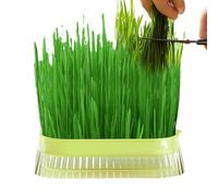 Cat Grass Planter Box - Cat Grass Planting Pot - Pet Cat Sprout Dish Growing Pot, Hydroponic Plant Pot, Cat Grass Germination Dish, Greenhouse Grow Box for Indoor